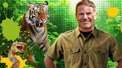 Steve Backshall Deadly Live!