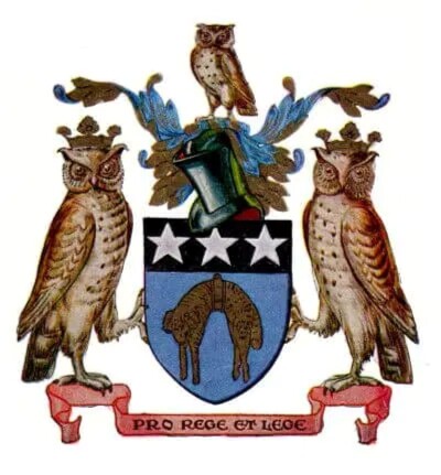 Leeds Owl Trail exhibition