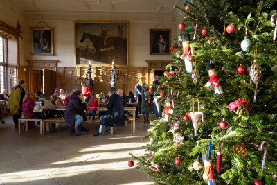 Christmas Tree Trail