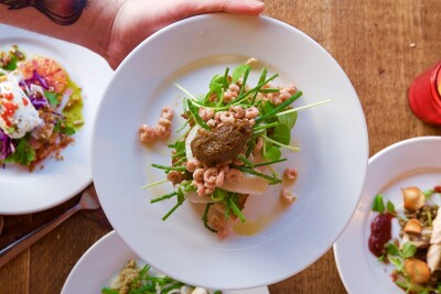 The Swine that Dines