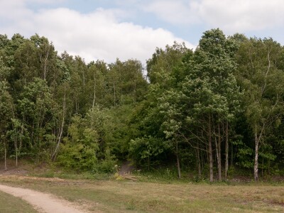 Skelton Country Park