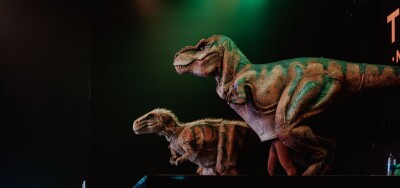 Teach Rex Live