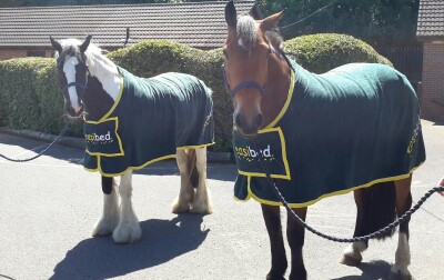 Middleton Park Equestrian Centre