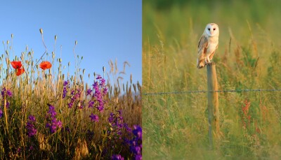 Townclose Hills Nature Reserve