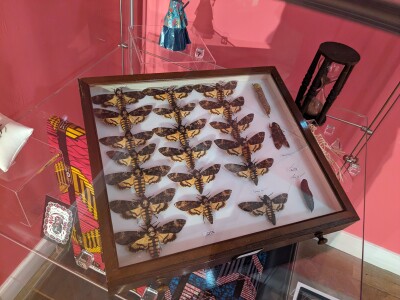 Moth Week! Store Tour and Workshop
