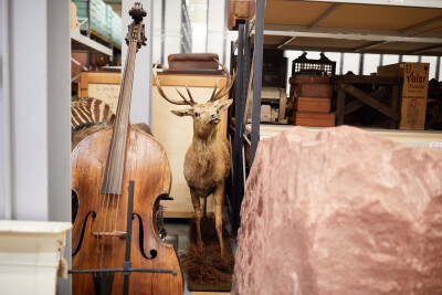 Music Around the World: Store Tour and Workshop