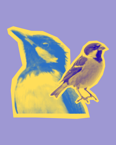 Felt a Little Bird! A Needle-Felting Workshop with Penny