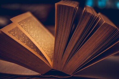 Quiet Reading Sessions