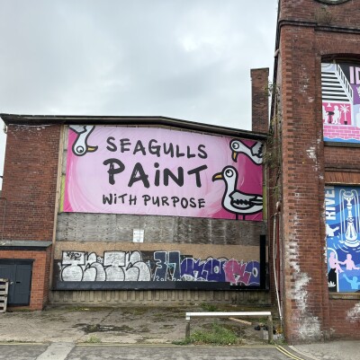 Seagulls Paint