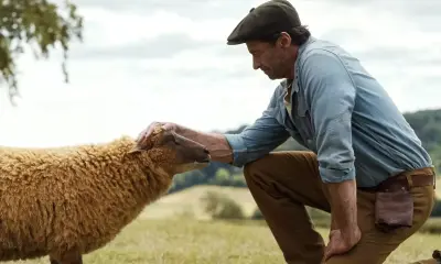 The Sheep Detectives (PG)