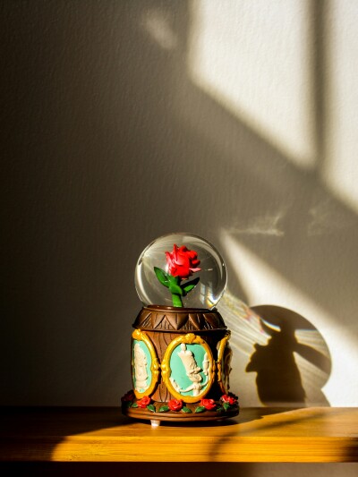 Beauty & The Beast
