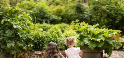 Wild summer at the Mill