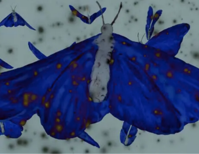 Women’s Animation From Near and Far