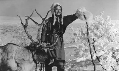 The White Reindeer (PG)