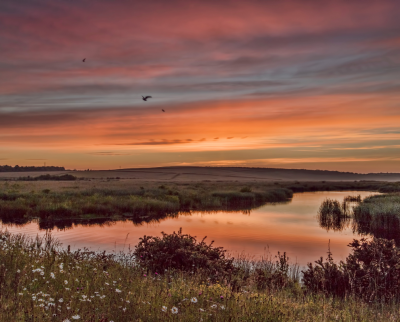 Bespoke Reserve Tour- RSPB St Aidan’s